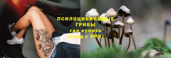 ешки Покров