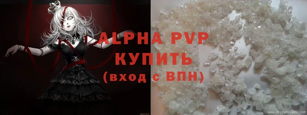 стаф Магас