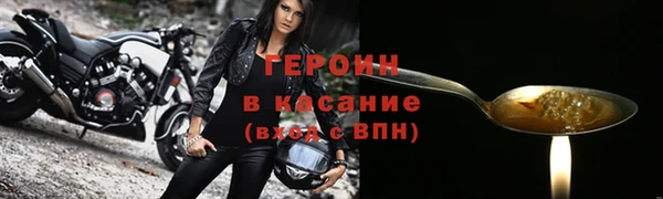 прущие грибы Покачи