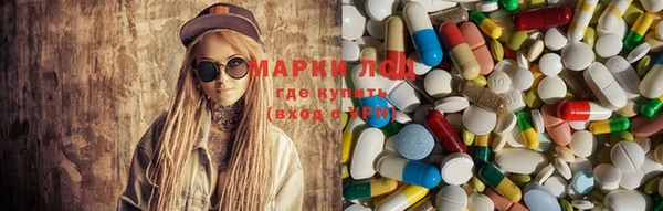 прущие грибы Покачи