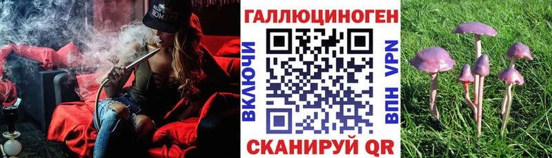 где купить Адыгейск Псилоцибиновые грибы GOLDEN TEACHER